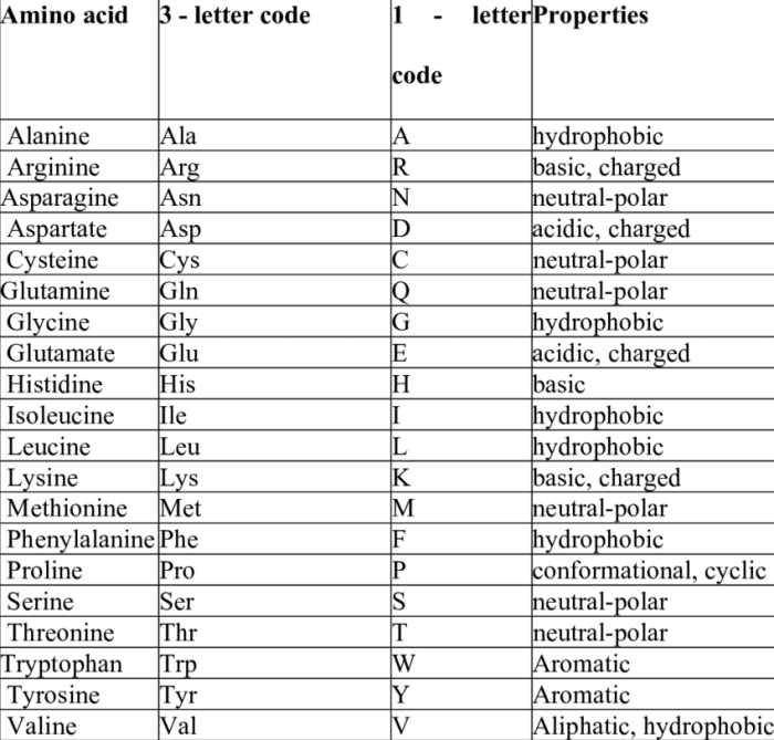 Amino acid quiz one letter code