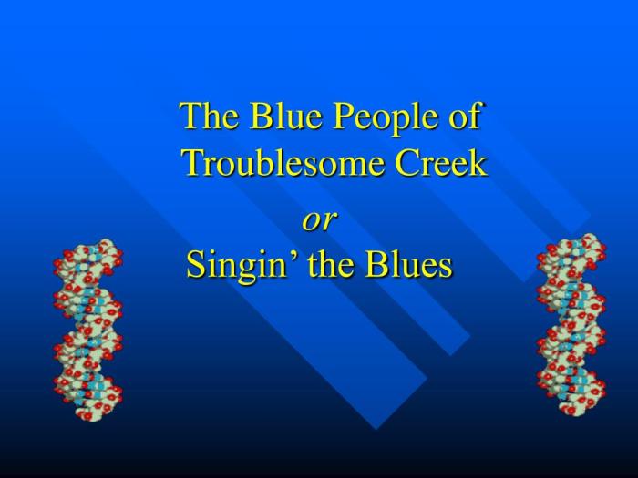 The blue people of troublesome creek worksheet